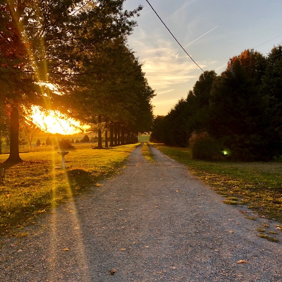 Meet your Posher, Amanda - Picture 2 of 3